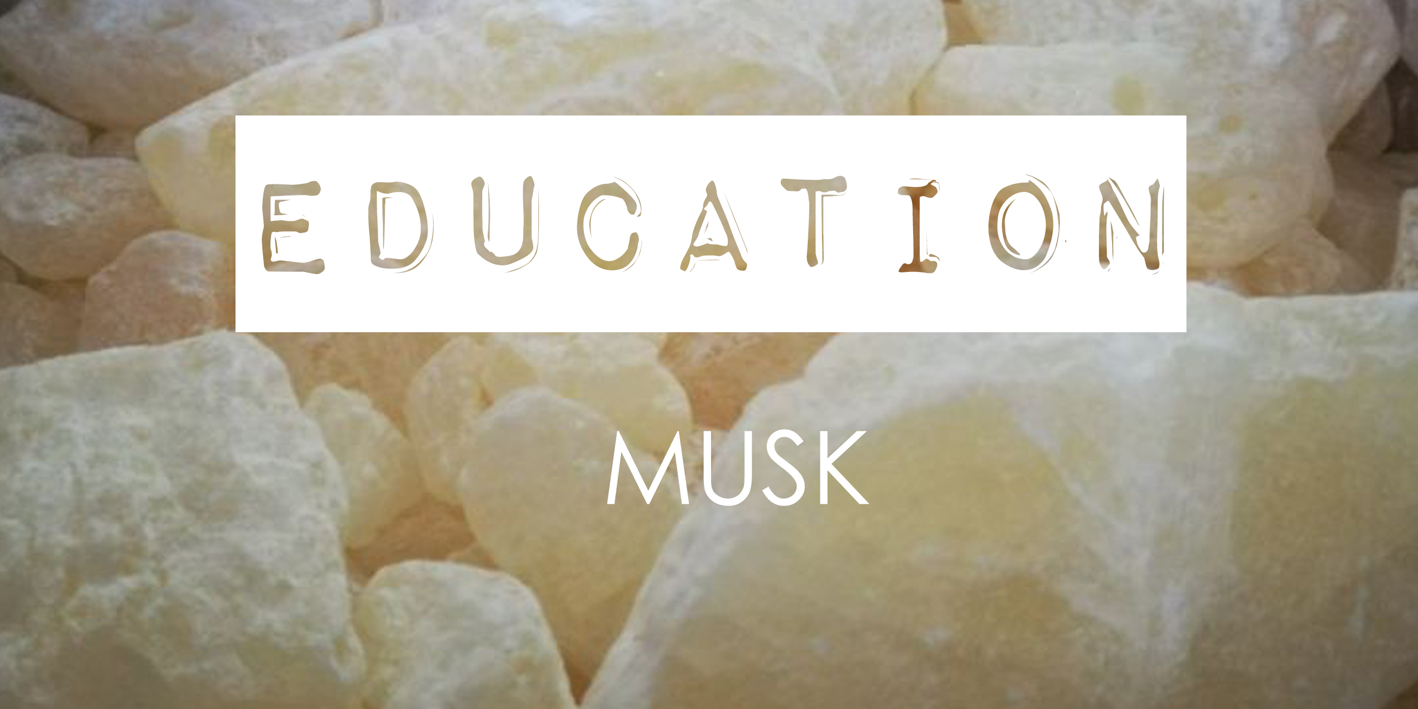 Ingredient Knowledge · MUSK The Scent Company