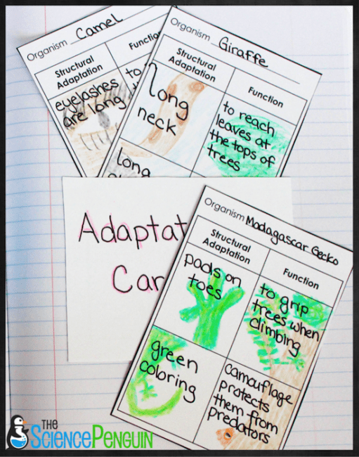 5 Ideas to Teach Animal and Plant Adaptations — The Science Penguin