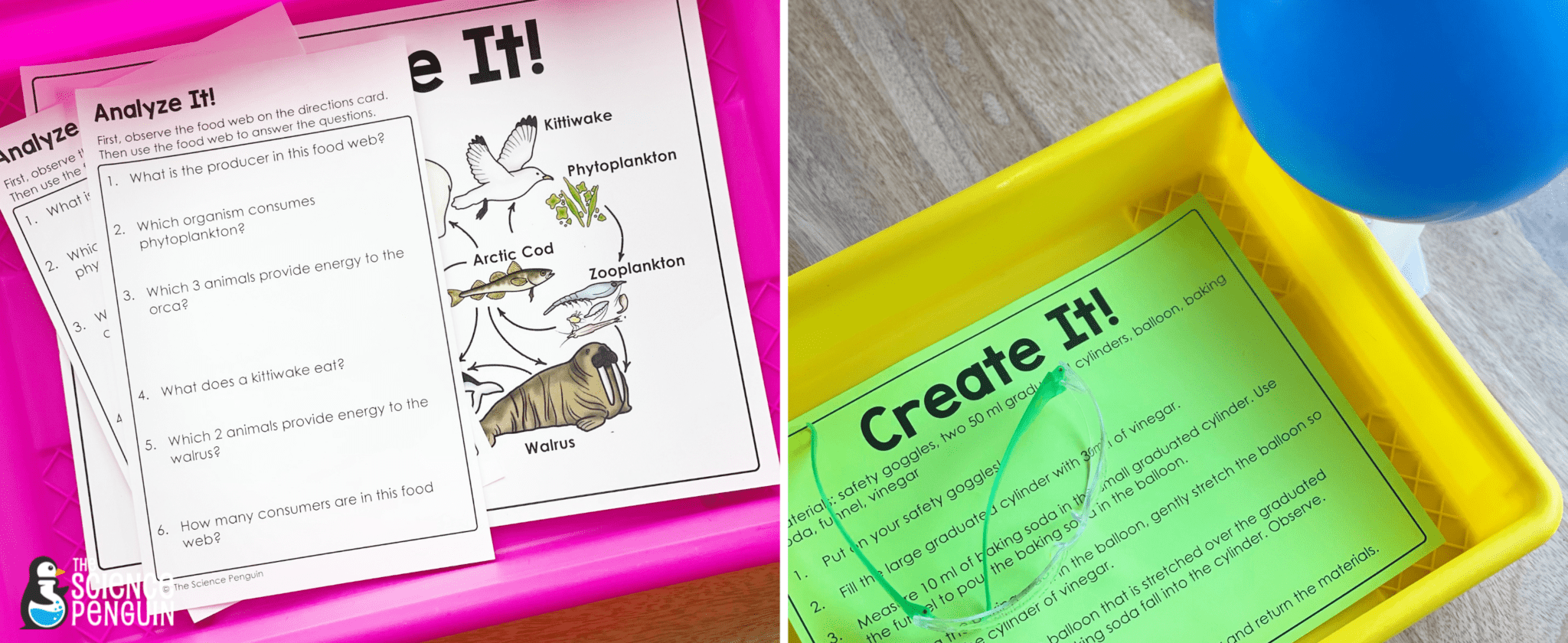 Science Stations Units from The Science Penguin