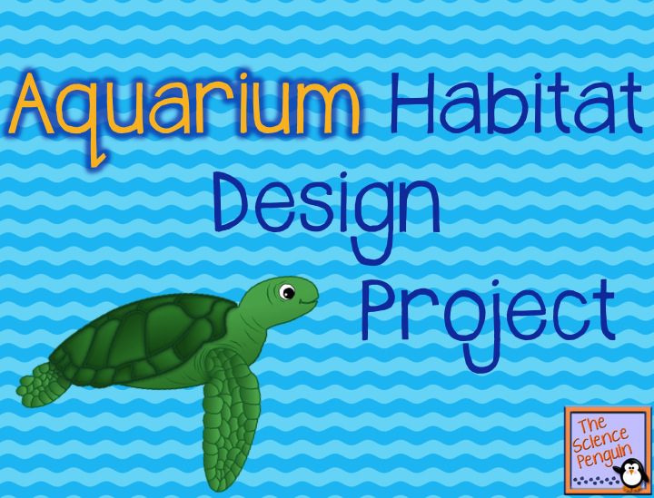 Aquarium Habitat Design Project — The Science Penguin