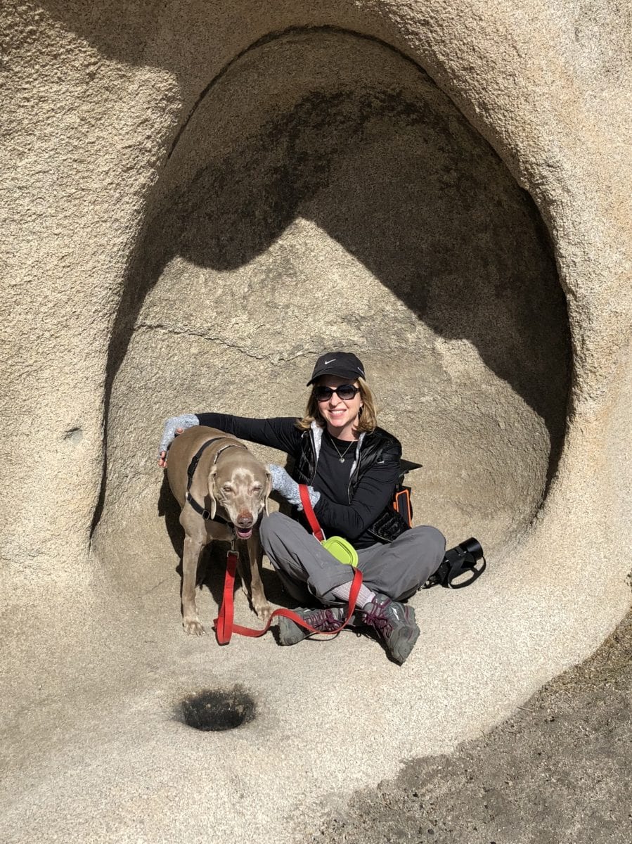 Can Dogs Hike In Joshua Tree