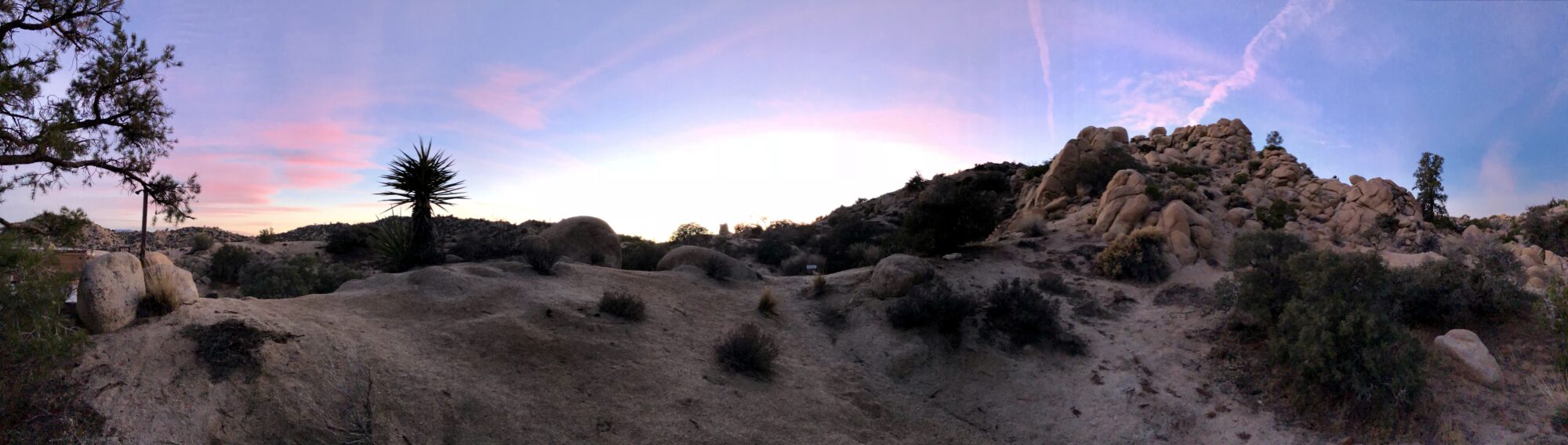 Joshua Tree & Yucca Valley