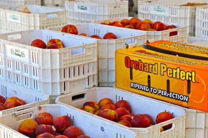 Peach Cobbler and the Fresno Fruit Trail The Seaside Baker