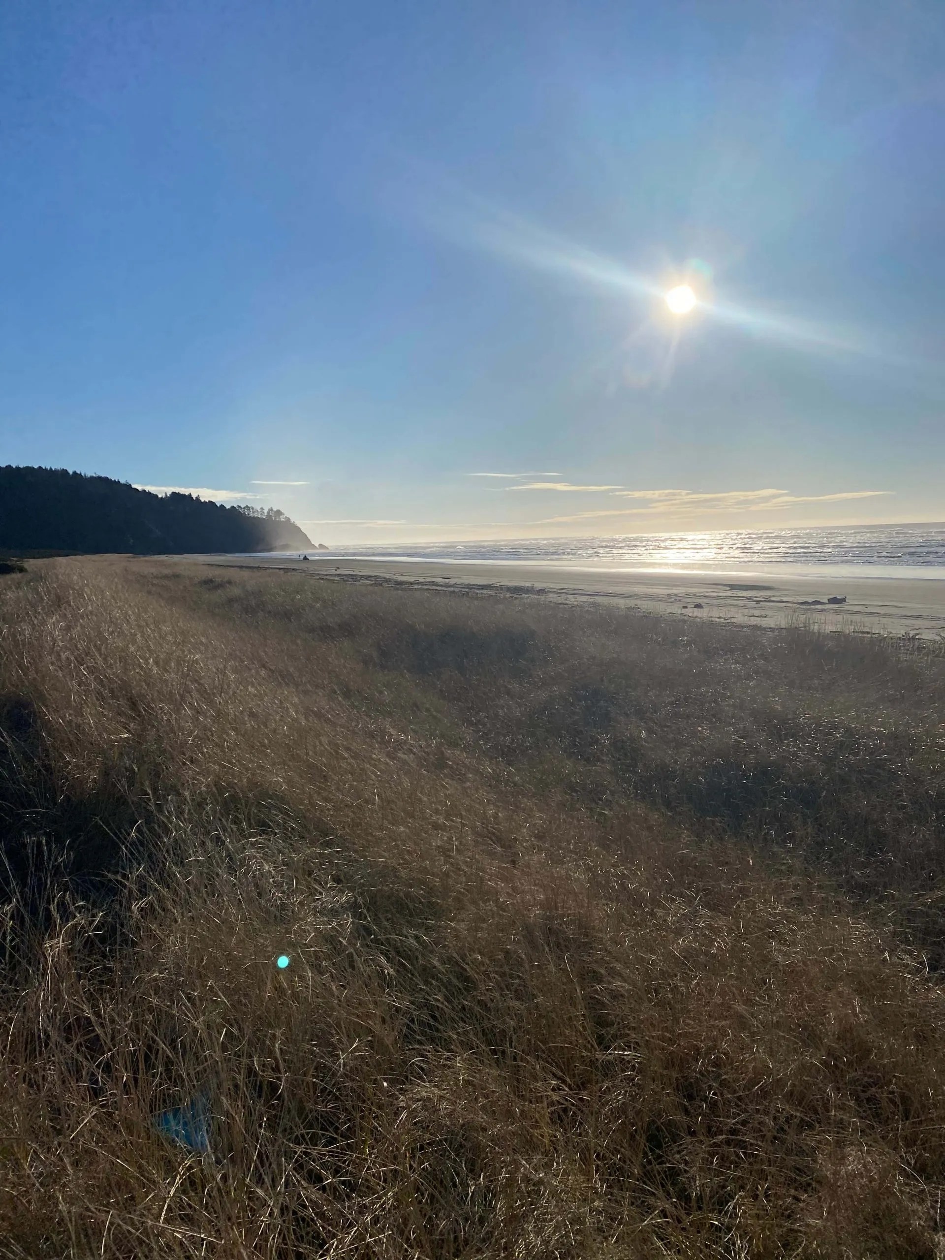 Gallery The Seaview Manor