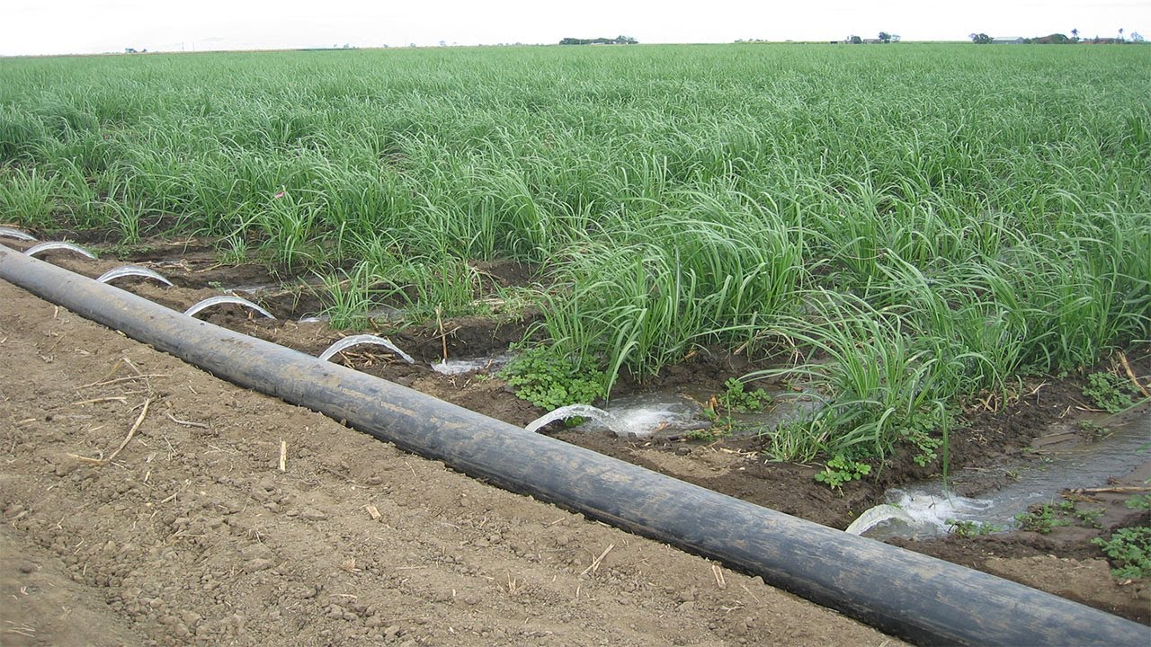 Irrigation Methods That Will Help The Indian Farmers — The Second Angle