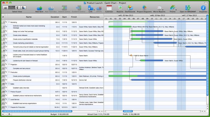 Gantt Chart Template Mac