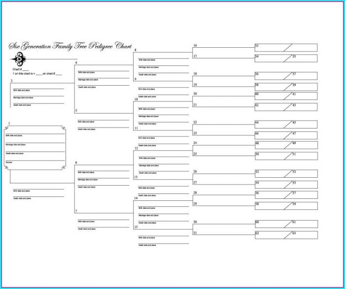 Excel Family Tree Chart Template