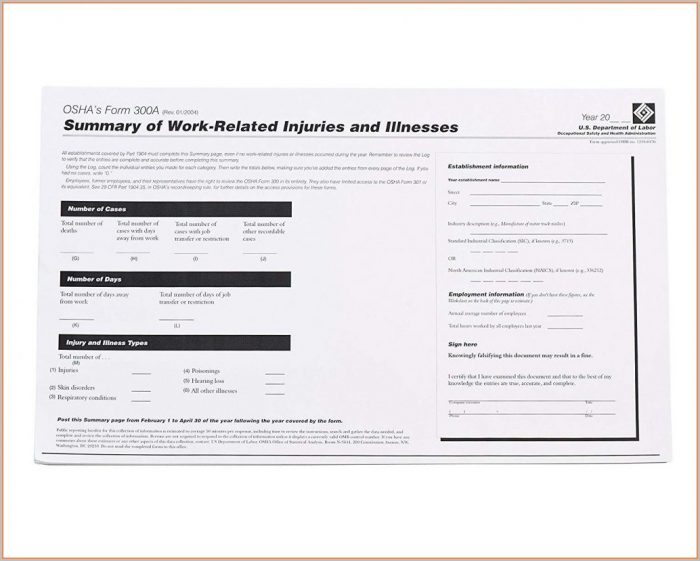 Lockout Tagout Log Sheet Template