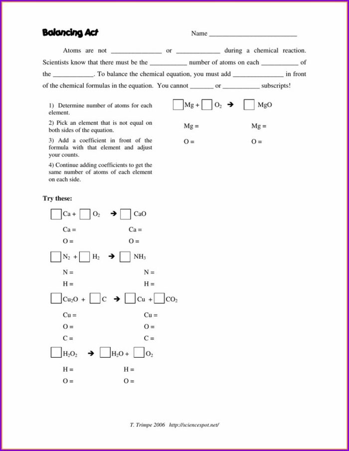 Balancing Act Practice Worksheet Science Spot Answers