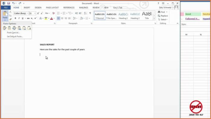 Copy Excel Worksheet Into Word