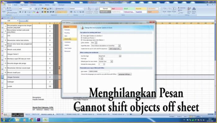 Excel 2007 Protect Worksheet But Allow Grouping