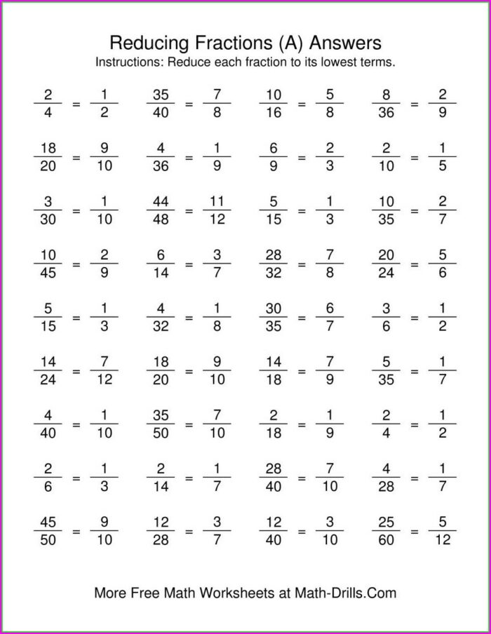 Fractions In Lowest Terms Worksheet