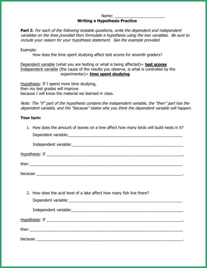 Hypothesis Writing Practice Worksheet With Answers