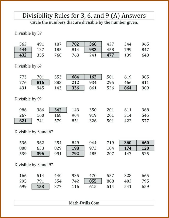 Math Divisibility Rules Worksheet