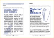 Reading Exercises With Answers Pdf Uncategorized Resume Examples