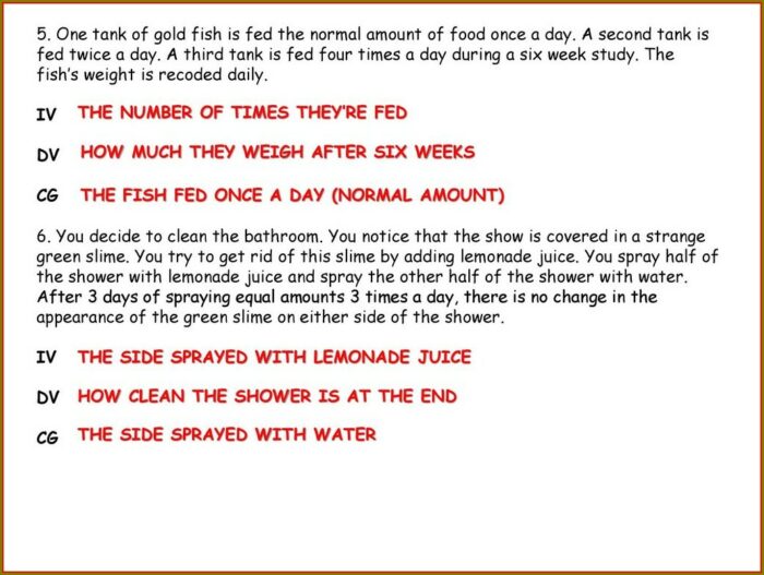 Scientific Method Review Identifying Variables Worksheet