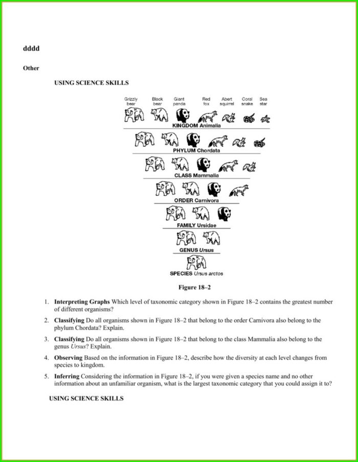 Skills Worksheet Science Skills Interpreting Graphics Answer Key