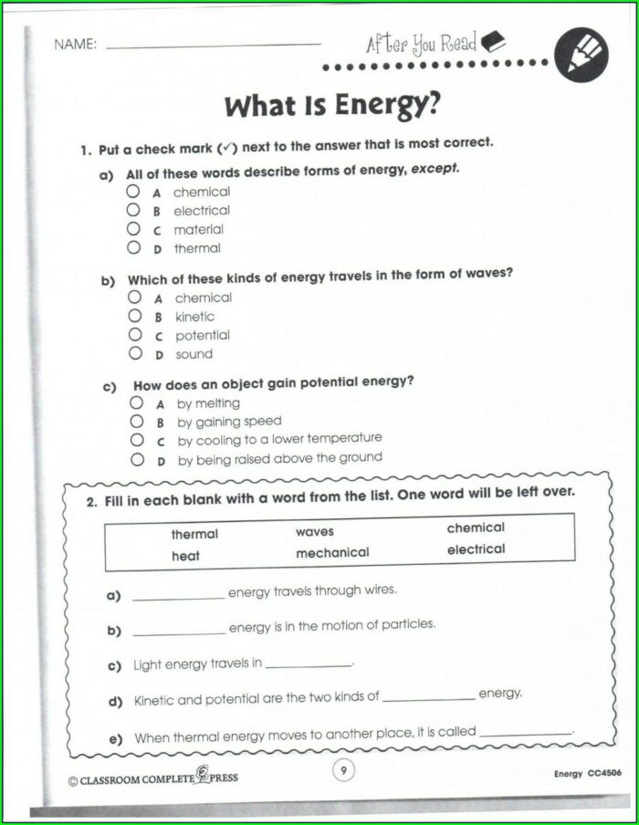 What Am I Science Worksheet Answers