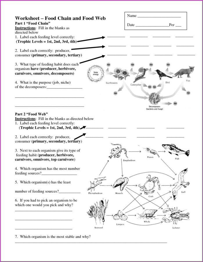 What Is Science Worksheet Answers