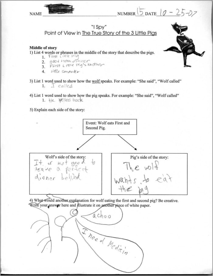 Writing Points Of View Worksheet Answers