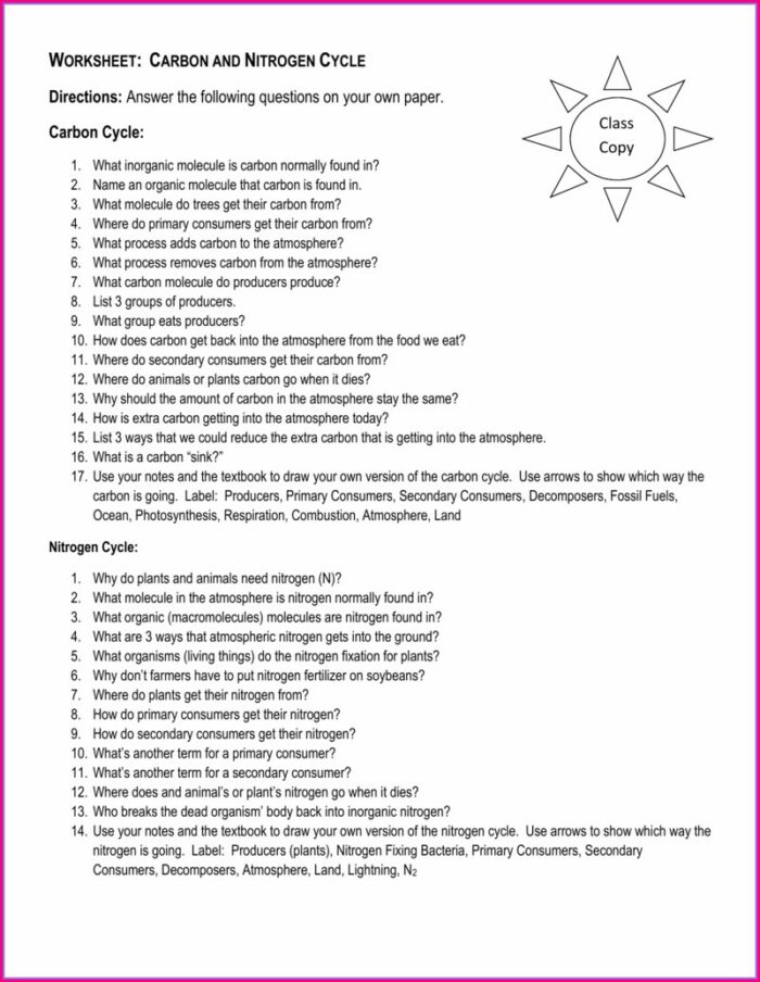 Carbon Cycle Worksheet Answers