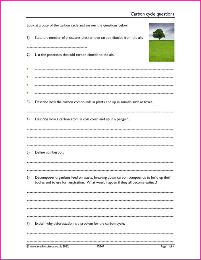 Carbon Cycle Worksheet Answers Pdf