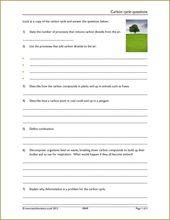 Carbon Cycle Worksheet Pdf