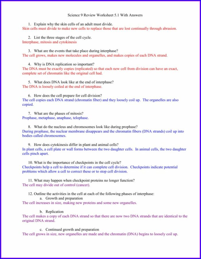 Cell Cycle Worksheet And Answers