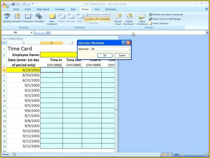 Excel 2007 Protect Cells In Worksheet