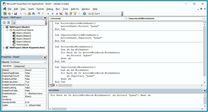 Vba Protect A Worksheet