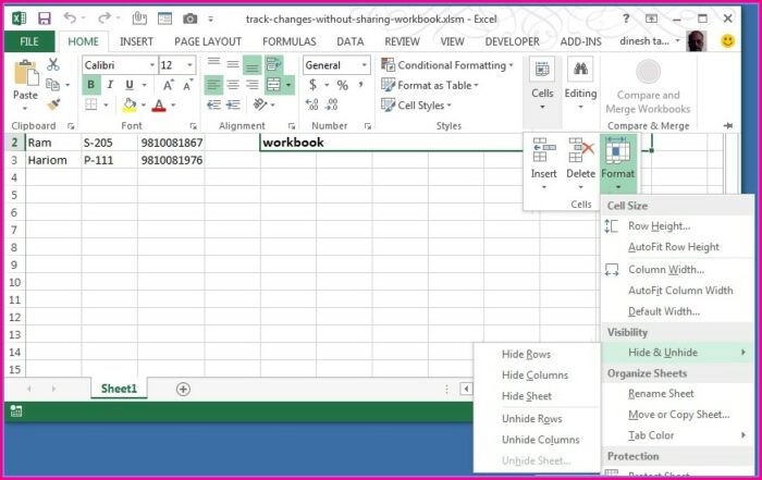 Vba Protect Shared Worksheet