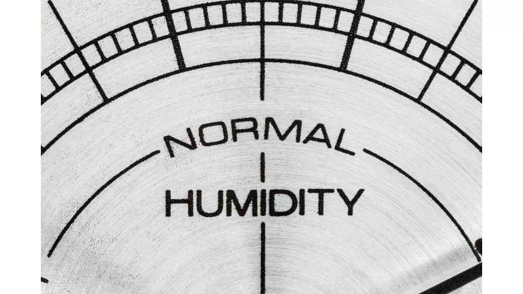 How to Create a Cannabis Grow Room Humidity Control System? The Seed Connect