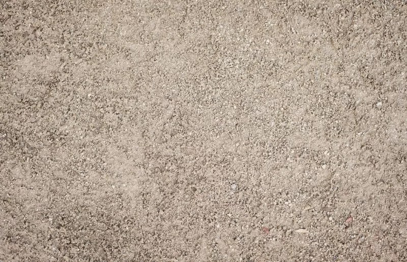 Sandy Soils A Gritty Guide to Cannabis Growth on Sandy Terrain The