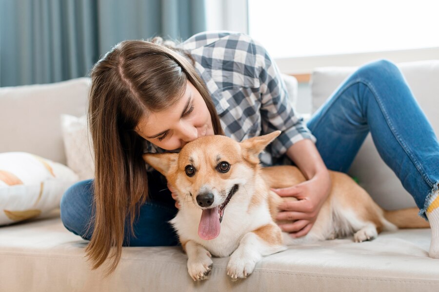 Understanding Animal Behavior A Guide for Pet Owners THE SEEK BLOG