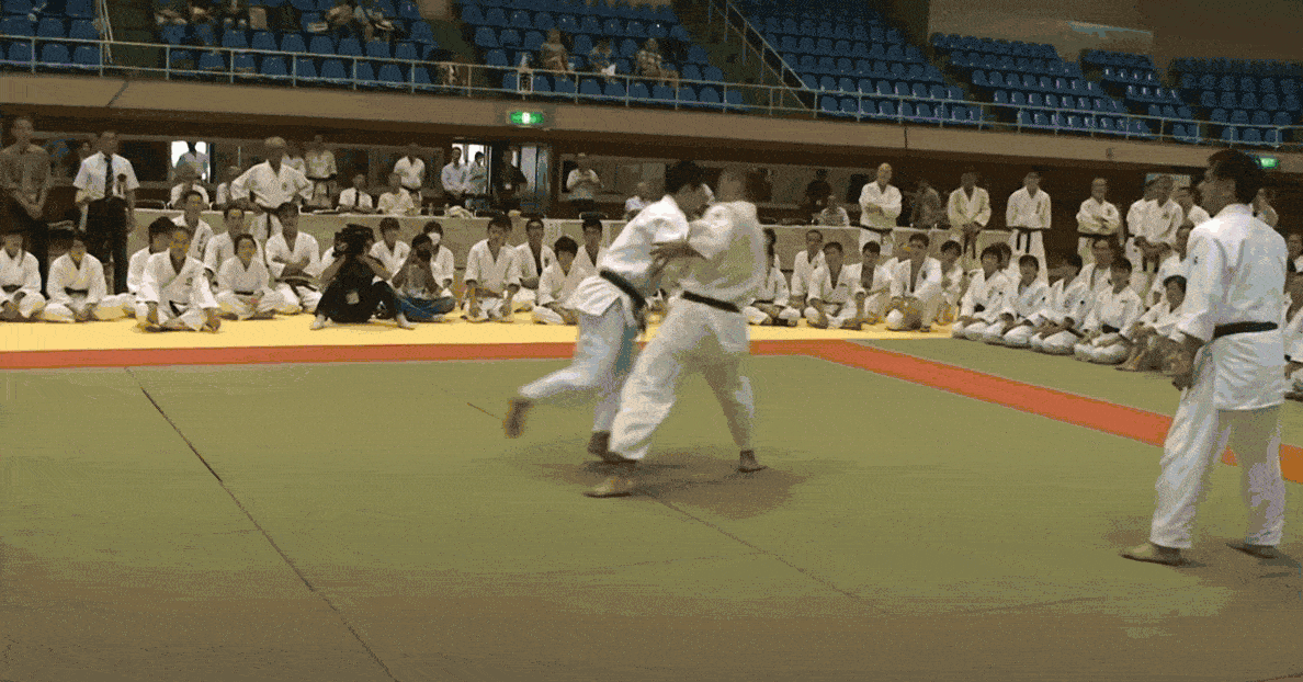 Aikido The Definitive Guide (and why you should try it)