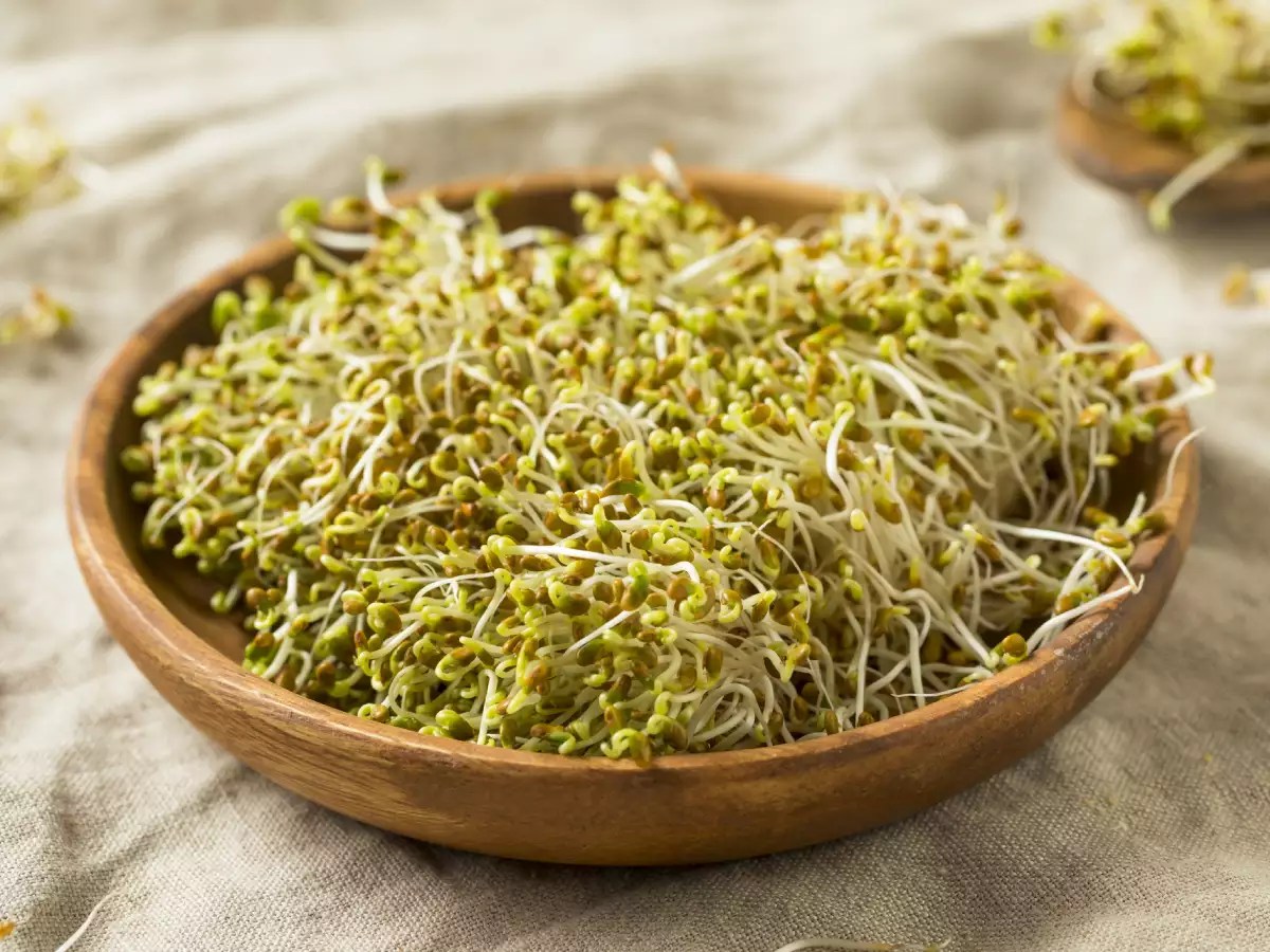 15 Best Types Of Sprouts to Grow For a Healthy Diet The Self