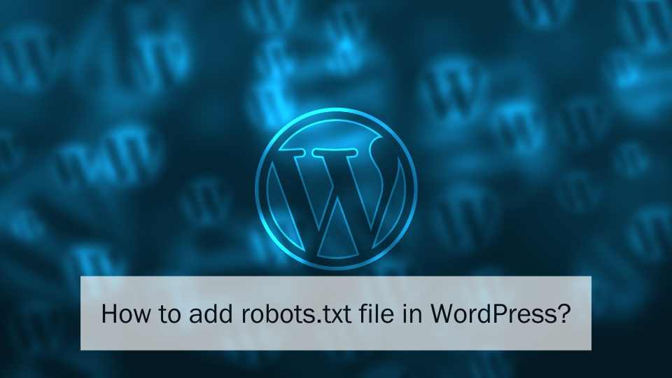 How to add robots.txt file in WordPress