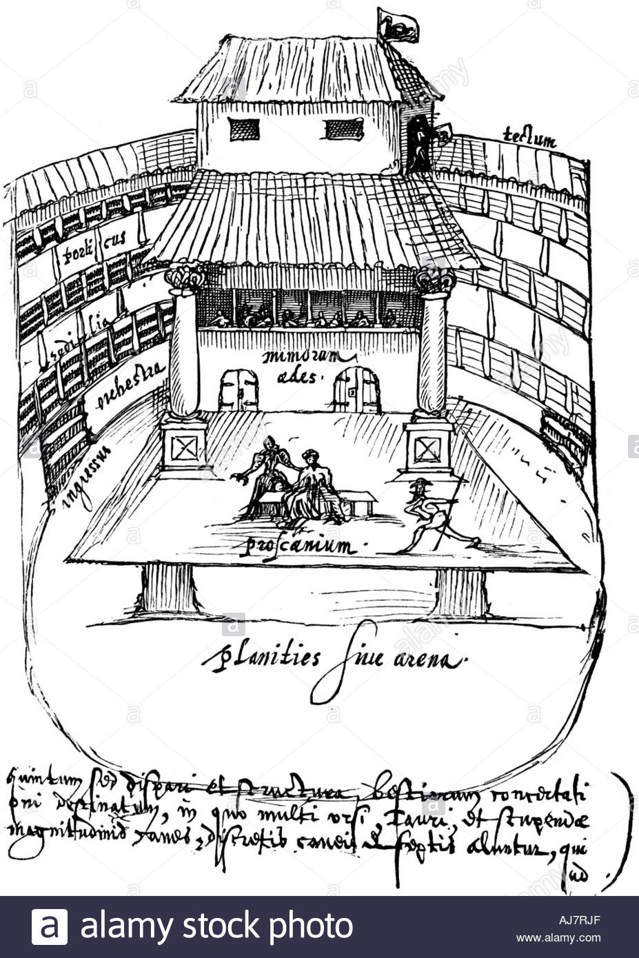 The Shakespeare Code The Bard, Love, Religion and Politics