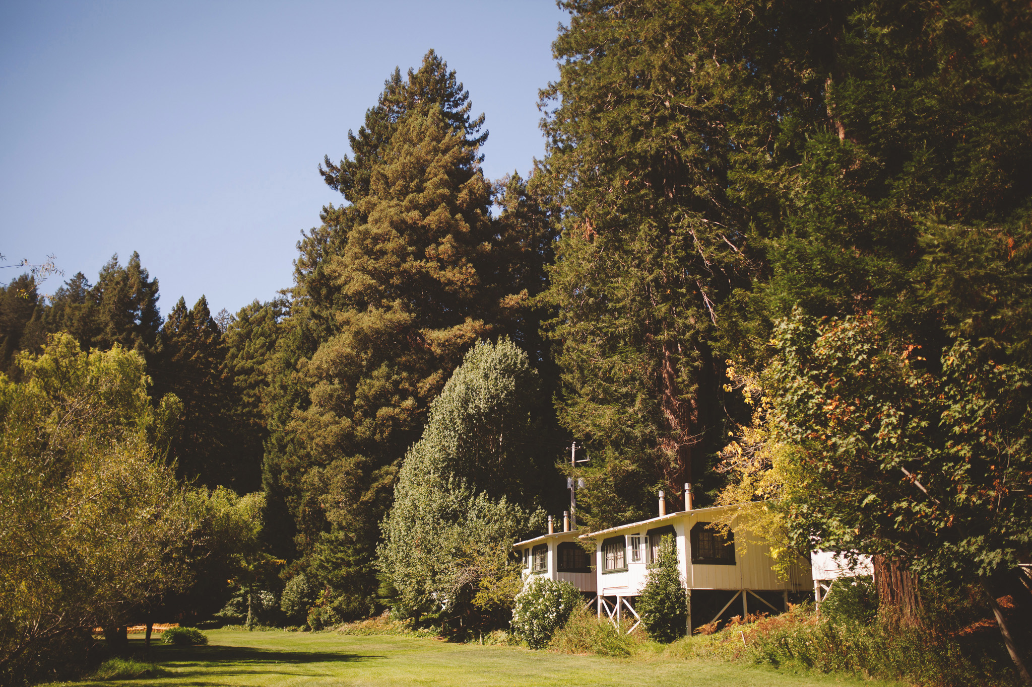 California Redwood wedding at Dawn Ranch Guerneville Wedding Venue