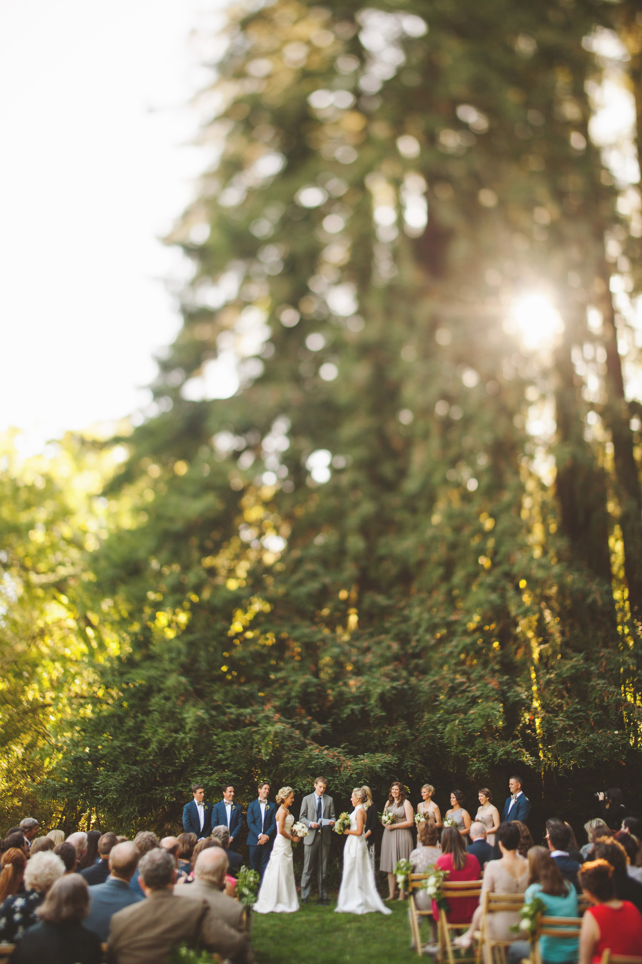 California Redwood wedding at Dawn Ranch Guerneville Wedding Venue