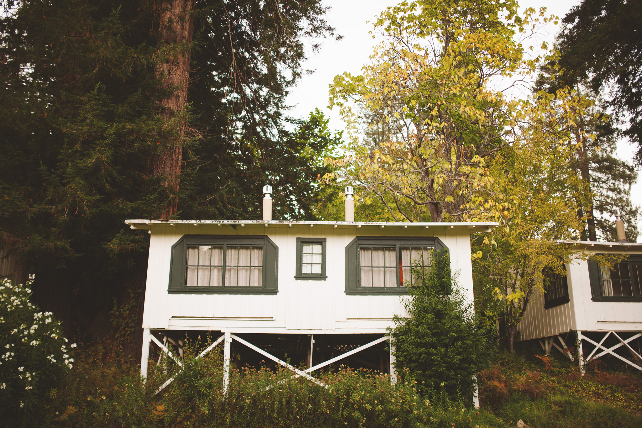 California Redwood wedding at Dawn Ranch Guerneville Wedding Venue