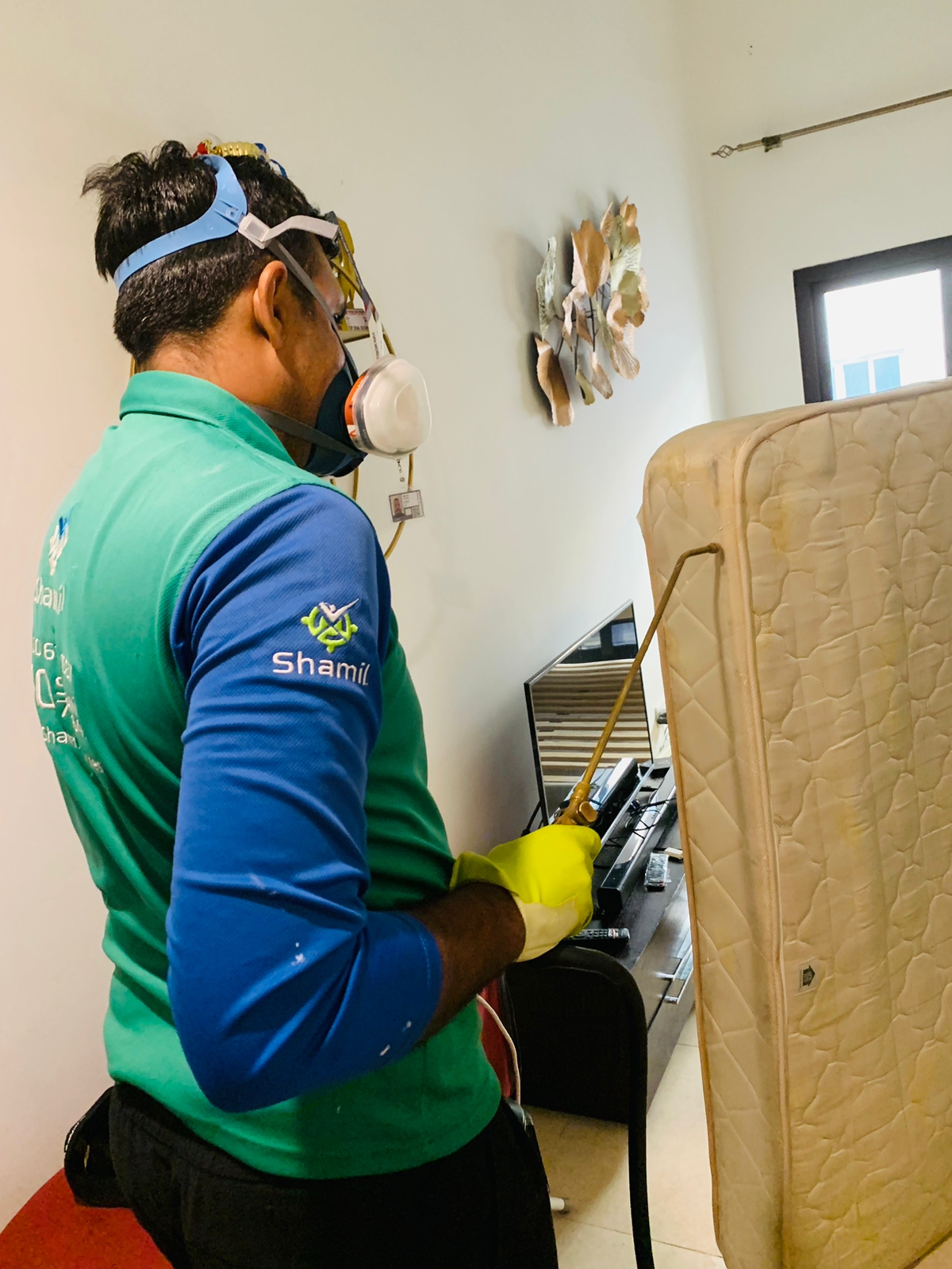 Bed Bugs Pest Control In Dubai Bed Bugs Control Services in Dubai