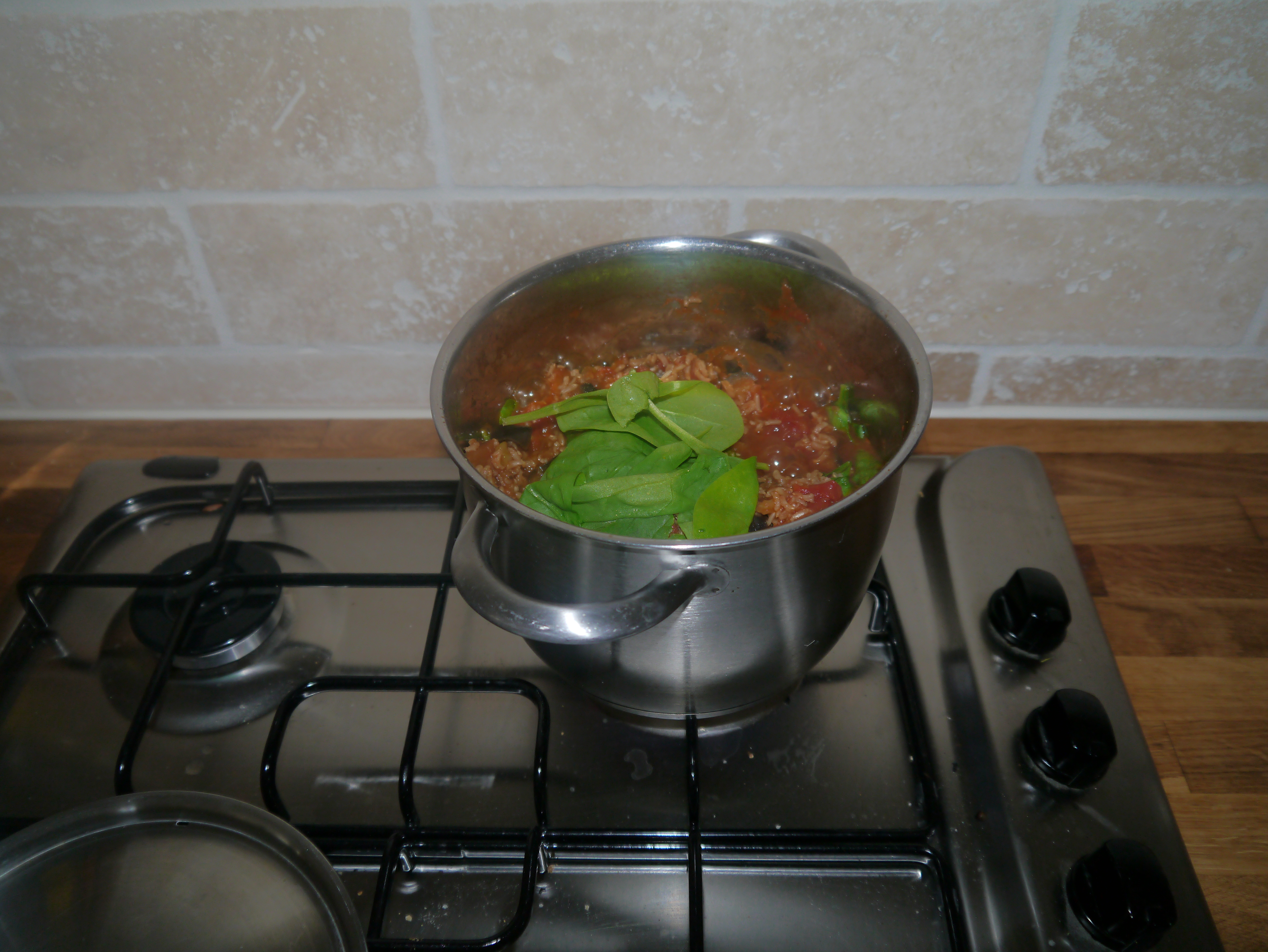 The Diet Day 1 Phase 1