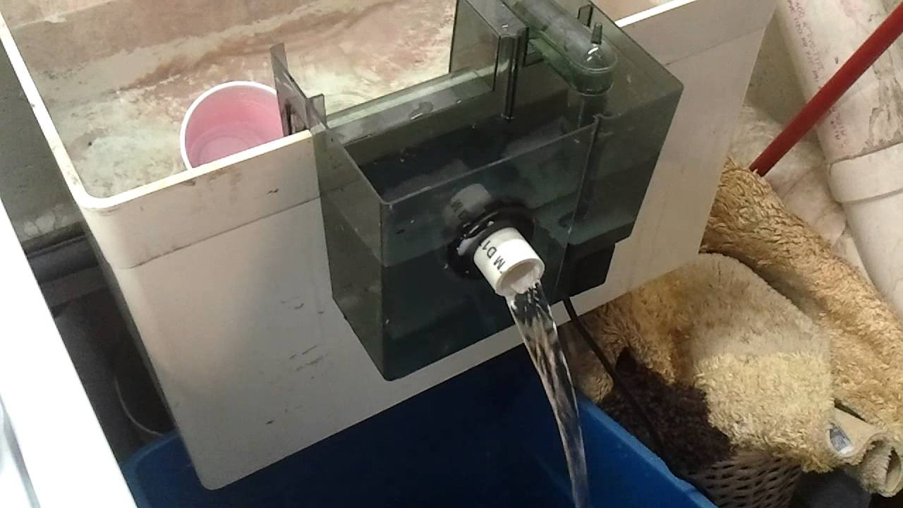 Top 20 Diy Aquarium Overflow Box Home, Family, Style and Art Ideas