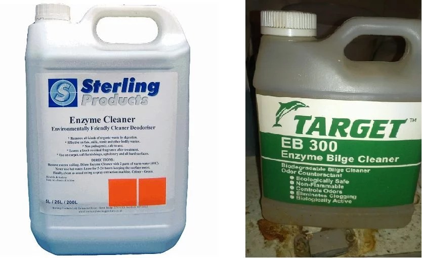 How to Get Cat Pee Out of Shoes The Shoe Buddy