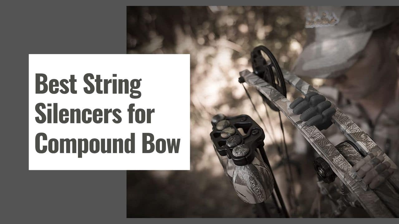 Best String Silencers for Compound Bow in 2024 The Shooting Gears