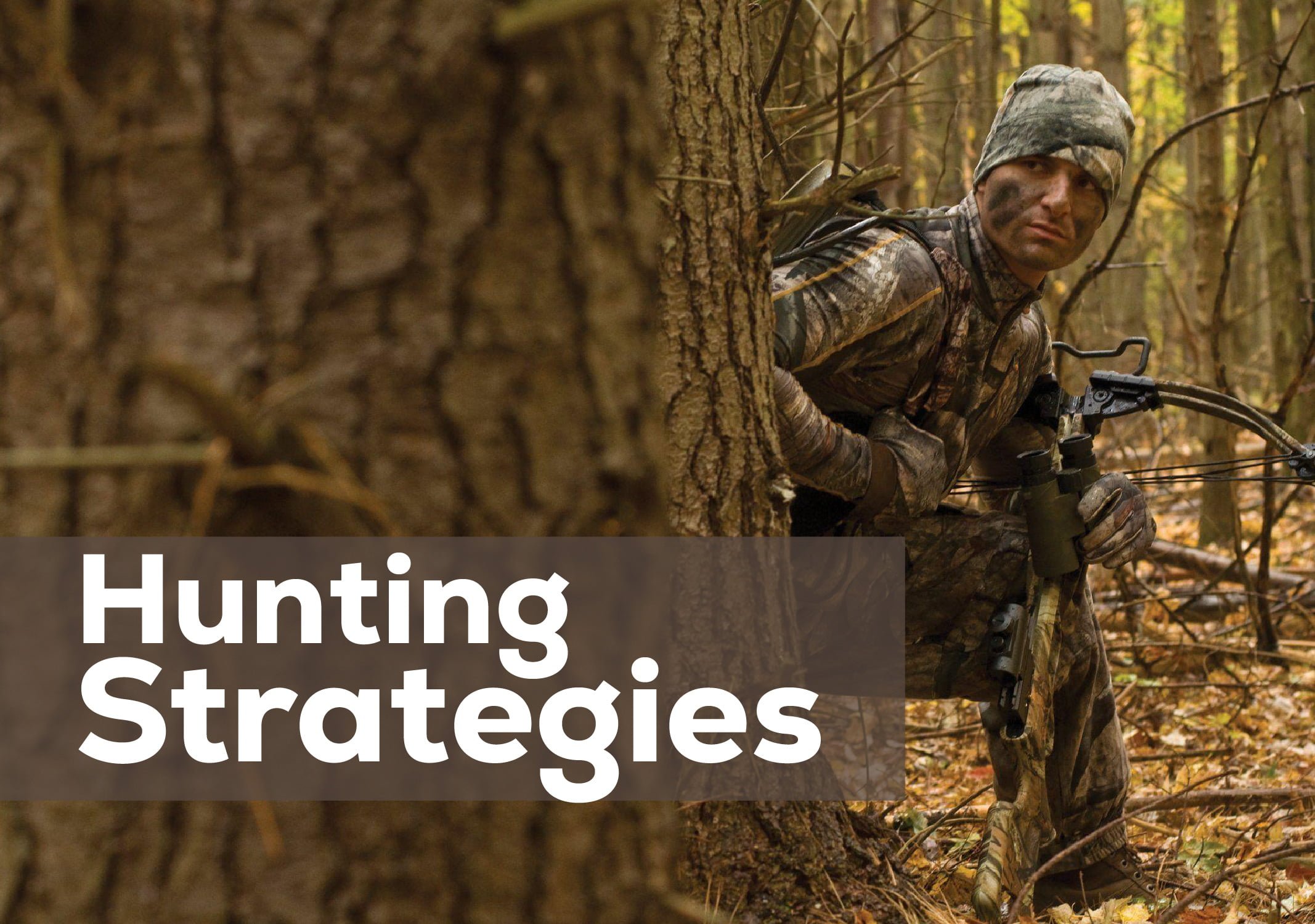 Types Of Hunting Strategies at Frank Keith blog