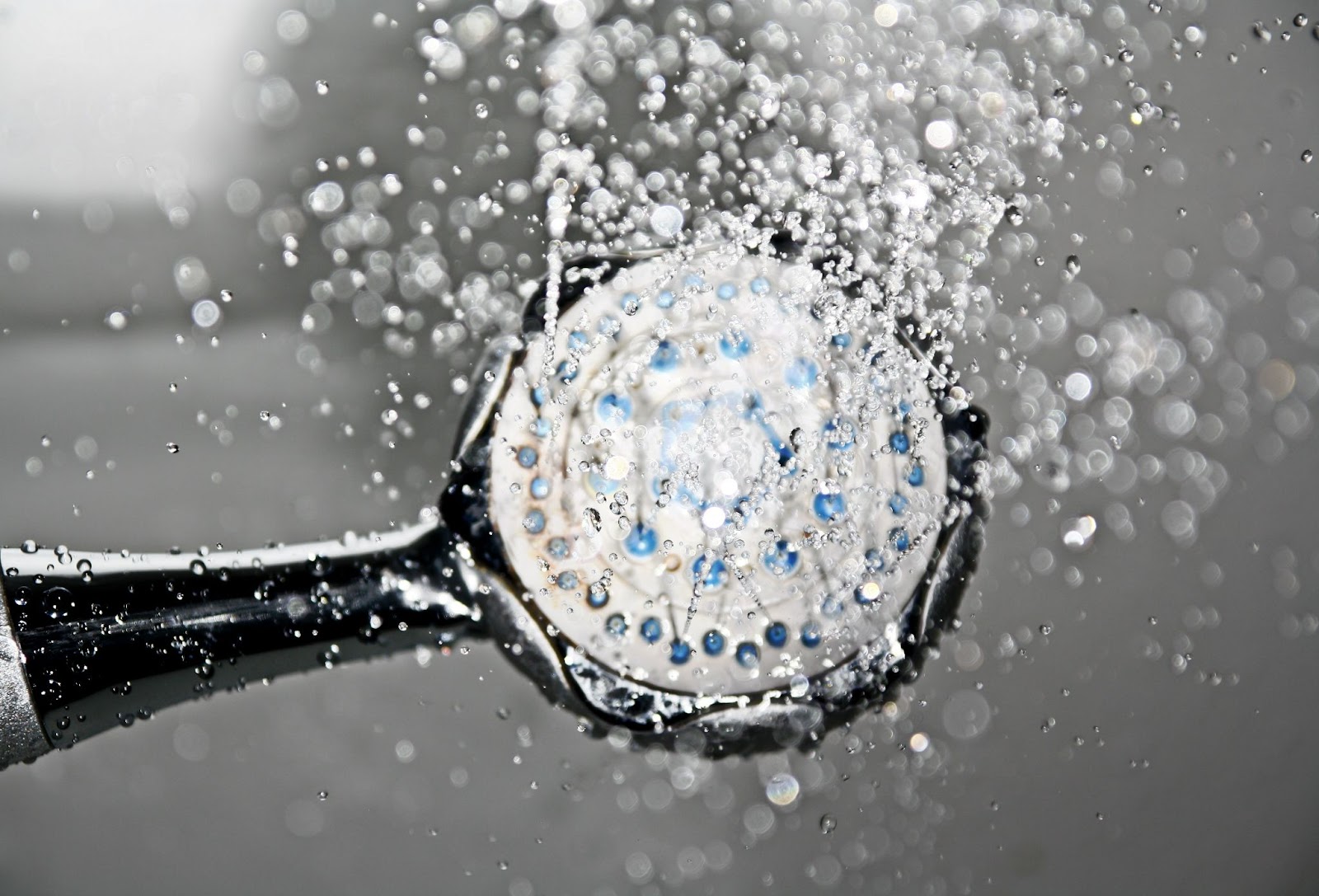 Which Shower Head is Best? The Shower Company