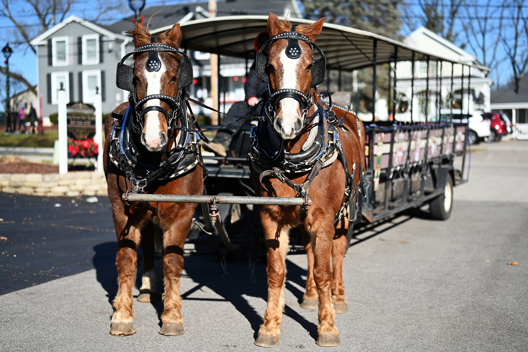 Vintage Holidays in Long Grove The Simple Luxuries