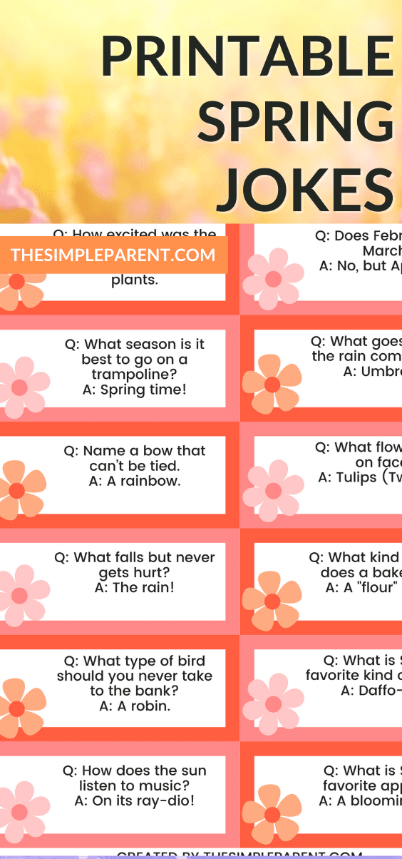 Spring Jokes for Kids (Free Printable Jokes!)